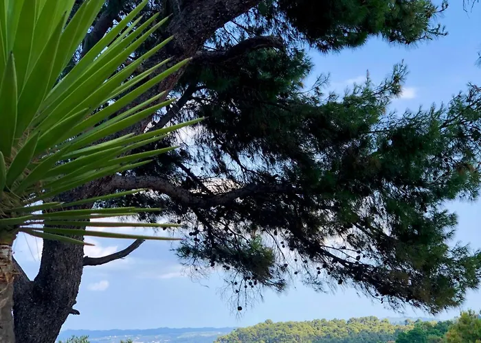 Apartament Rita Sea View *