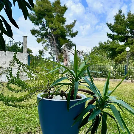 Apartamento Rita Sea View Kallithea (Chalkidiki)