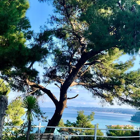 Rita Sea View * Kallithea (Chalkidiki)